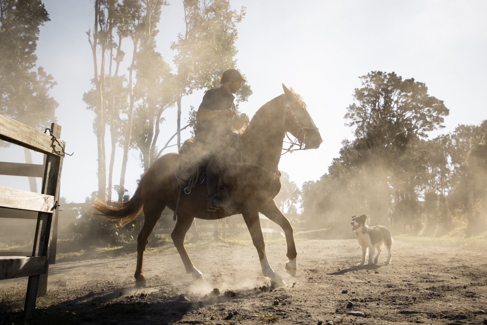 photo-2023-02-12-23-53-07